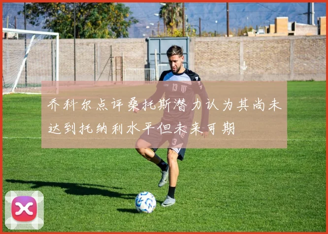乔科尔点评桑托斯潜力认为其尚未达到托纳利水平但未来可期