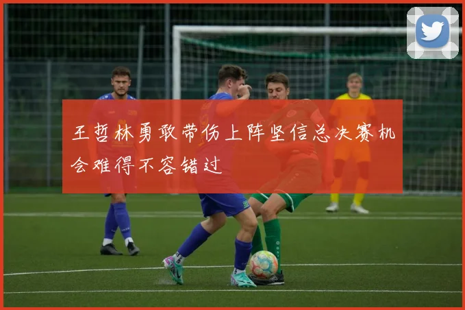 王哲林勇敢带伤上阵坚信总决赛机会难得不容错过