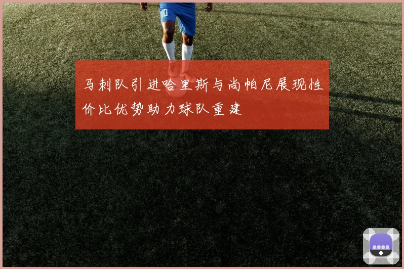 马刺队引进哈里斯与尚帕尼展现性价比优势助力球队重建